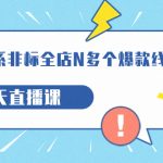 打造-淘系-非标全店N多个爆款线上课，5天直播课（19期）-梦帆创业网