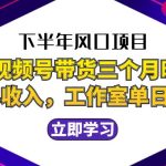 （12849期）下半年风口项目，靠视频号带货三个月时间赚一年收入，工作室实测单日3…-梦帆创业网