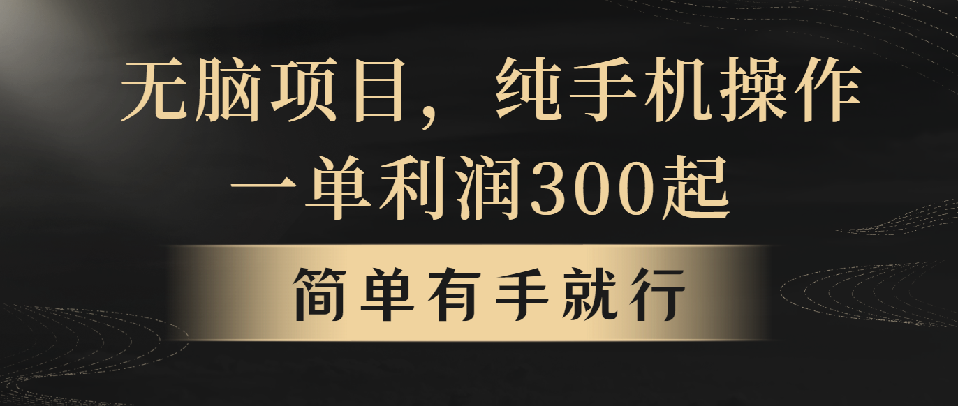 （10699期）无脑项目，一单几百块，轻松月入5w+，看完就能直接操作-梦帆创业网