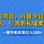 风口项目，抖音今日话题玩法，引流到私域卖单品，一部手机实现日入500+-梦帆创业网
