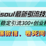 9月份soul最新引流技术5.0，日稳定引流300+创业粉，加爆微信，卷死同行-梦帆创业网
