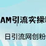 ST TEAM引流实操课，日引流网创粉100+-梦帆创业网