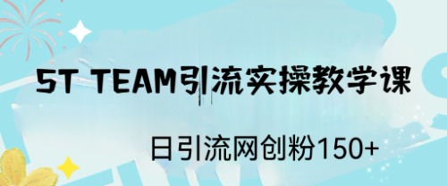 ST TEAM引流实操课，日引流网创粉100+-梦帆创业网