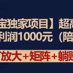 【淘宝独家项目】超高利润：每单利润1000元-梦帆创业网