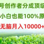（9608期）视频号创作者分成顶级玩法，纯小白也能100%原创，无脑月入10000+-梦帆创业网