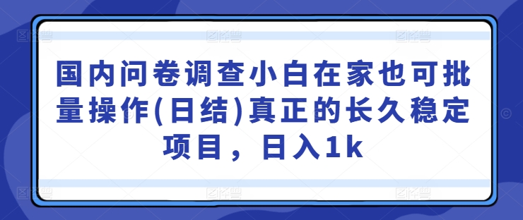 国内问卷调查小白在家也可批量操作(日结)真正的长久稳定项目，日入1k【揭秘】-梦帆创业网
