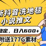 最新抖音洗地毯小说推文，流量稳定，一天收入600（附177G素材）-梦帆创业网