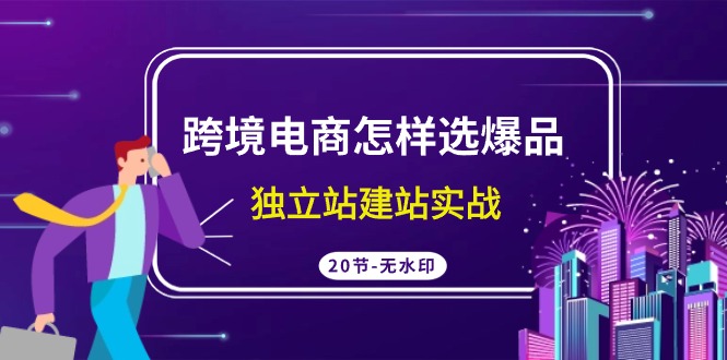 跨境电商怎样选爆品，独立站建站实战（20节高清课）-梦帆创业网