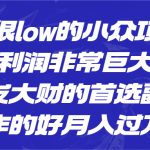 一个很low的小众项目，但利润非常巨大，闷声发大财的首选副业，月入过万-梦帆创业网