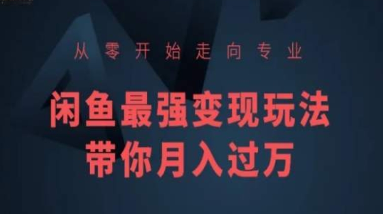 从零开始走向专业，闲鱼最强变现玩法带你月入过万-梦帆创业网