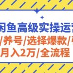 2024闲鱼高级实操运营课程：开店/养号/选择爆款/引流/月入2万/全流程-梦帆创业网