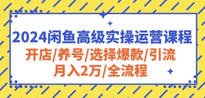 2024闲鱼高级实操运营课程：开店/养号/选择爆款/引流/月入2万/全流程-梦帆创业网