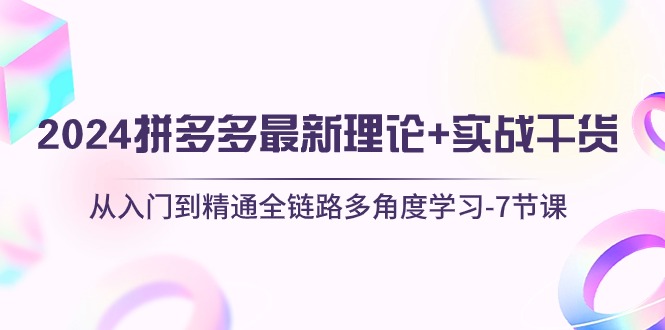 （10816期）2024拼多多 最新理论+实战干货，从入门到精通全链路多角度学习-7节课-梦帆创业网