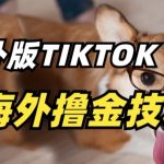 抖音海外版tiktok撸金技术，这个风口行业，赚钱真的不难-梦帆创业网