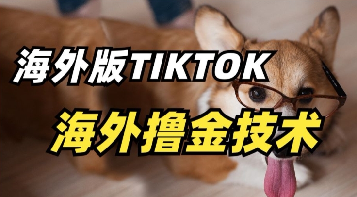 抖音海外版tiktok撸金技术，这个风口行业，赚钱真的不难-梦帆创业网