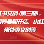 2024小红书文创(第三期)，教你小红书如何养号和开店，小红书直播带货卖文创等-梦帆创业网