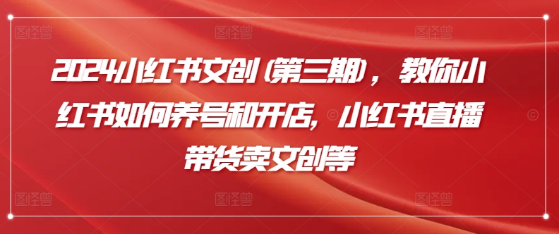 2024小红书文创(第三期)，教你小红书如何养号和开店，小红书直播带货卖文创等-梦帆创业网