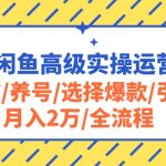 （10711期）2024闲鱼高级实操运营课程：开店/养号/选择爆款/引流/月入2万/全流程-梦帆创业网