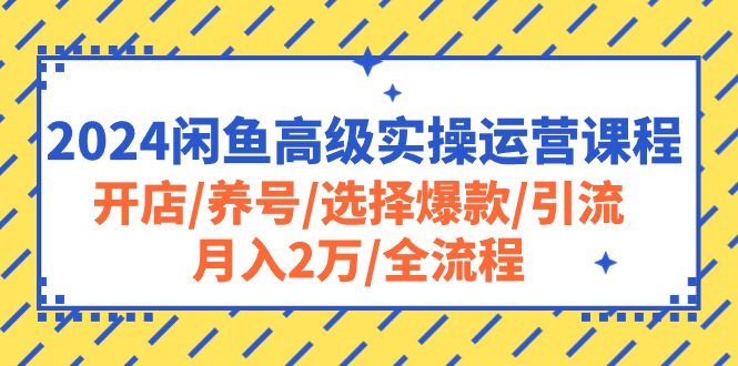 （10711期）2024闲鱼高级实操运营课程：开店/养号/选择爆款/引流/月入2万/全流程-梦帆创业网