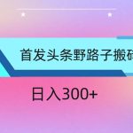 ai头条掘金野路子搬砖玩法，小白轻松上手，日入300+-梦帆创业网