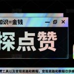 最新探探全自动点赞引流，配合男粉变现思路轻松日赚500+【脚本+教程】-梦帆创业网
