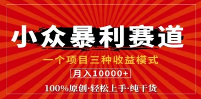 视频号最新爆火赛道，三种可收益模式，0粉新号条条原创条条热门 日入1000+-梦帆创业网