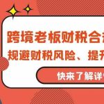 跨境老板财税合规训练营，规避财税风险、提升企业利润-梦帆创业网