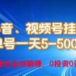 （10295期）24年最新抖音、视频号0成本挂机，单号每天收益上百，可无限挂-梦帆创业网