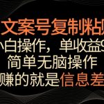 文案号掘金，简单复制粘贴，小白操作，单作品收益900+-梦帆创业网