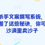 终极杀手文案撰写系统，只要你掌握了这些秘诀，你可以在沙漠里卖沙子-梦帆创业网