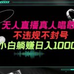 抖音24小时无人直播音乐，不违规，不封号纯撸音浪，小白实操当天日入1000+-梦帆创业网