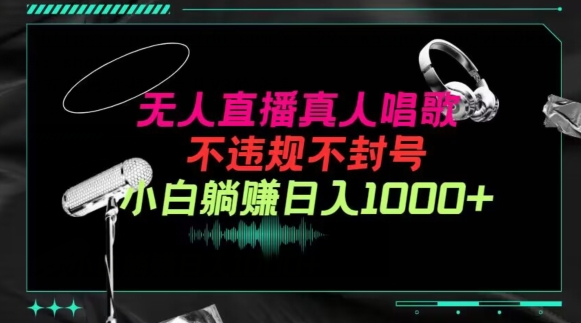 抖音24小时无人直播音乐，不违规，不封号纯撸音浪，小白实操当天日入1000+-梦帆创业网