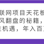 互联网项目天花板，逆风翻盘的秘籍，抓住机遇，年入百万-梦帆创业网