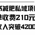 （9466期）小红书减肥私域项目每单收费210元单日成交20单，最高日入4200+-梦帆创业网