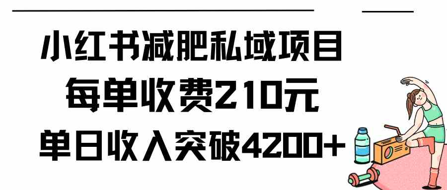 （9466期）小红书减肥私域项目每单收费210元单日成交20单，最高日入4200+-梦帆创业网