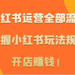 小红书运营全部流程,掌握小红书玩法规则,开店赚钱!-梦帆创业网