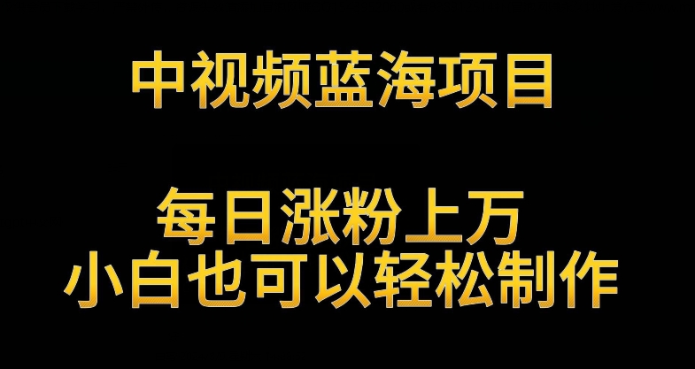 中视频蓝海项目，解读英雄人物生平，每日涨粉上万，小白也可以轻松制作，月入过万不是梦-梦帆创业网