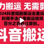 2024最新抖音搬运技术，抖音短剧视频去重，手法搬运，利用工具去重，达到秒过原创的效果-梦帆创业网