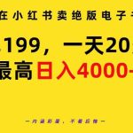 (9401期)在小红书卖绝版电子书,一单199 一天最多搞20多单,最高日入4000+教程+资料-梦帆创业网