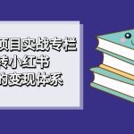小红书虚拟项目实战专栏，带你玩转小红书，打造完善的变现体系-梦帆创业网