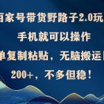 （12804期）百家号带货野路子2.0玩法，手机就可以操作，简单复制粘贴，无脑搬运日…-梦帆创业网