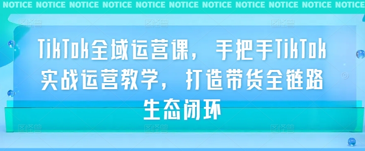 TikTok全域运营课，手把手TikTok实战运营教学，打造带货全链路生态闭环-梦帆创业网