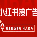 小红书接广告月入过万，简单搬运图片，新手小白快速上手-梦帆创业网
