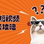 萌宠短视频起号攻略：定位搭建推流全解析，助力新手轻松打造爆款-梦帆创业网