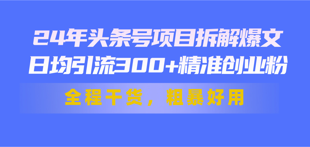 24年头条号项目拆解爆文，日均引流300+精准创业粉，全程干货，粗暴好用-梦帆创业网