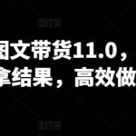 抖音图文带货11.0，快速出单拿结果，高效做账号-梦帆创业网