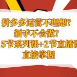 拼多多运营不理想？新手不会做？15节系列课+2节直播课，直接掌握-梦帆创业网