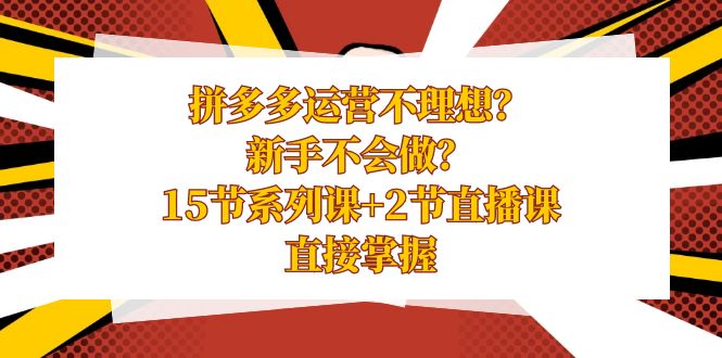 拼多多运营不理想？新手不会做？15节系列课+2节直播课，直接掌握-梦帆创业网