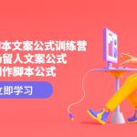 短视频带货脚本文案公式训练营：18个开场留人文案公式，18个创作脚本公式-梦帆创业网
