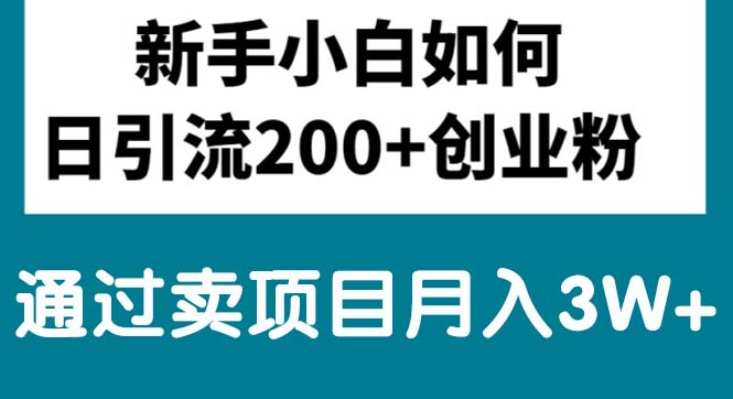 （10843期）新手小白日引流200+创业粉,通过卖项目月入3W+-梦帆创业网